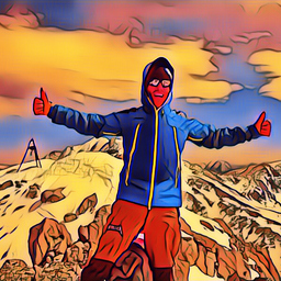 Martin Silmbroth's profile picture