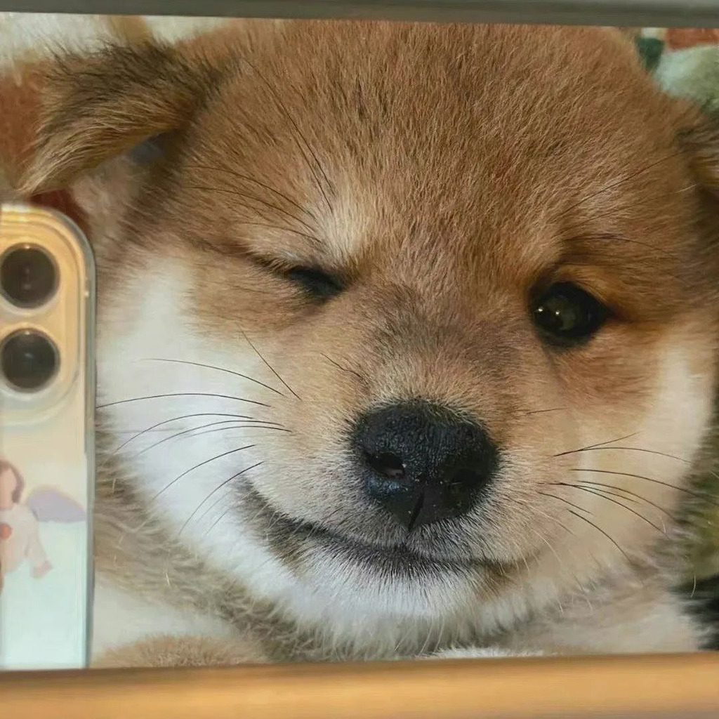 Chen Ranran Sales Manager Shanghai, China XING