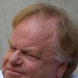 Profilbild Hans-Dieter Kulhay