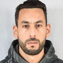 Ahmed Lamadi
