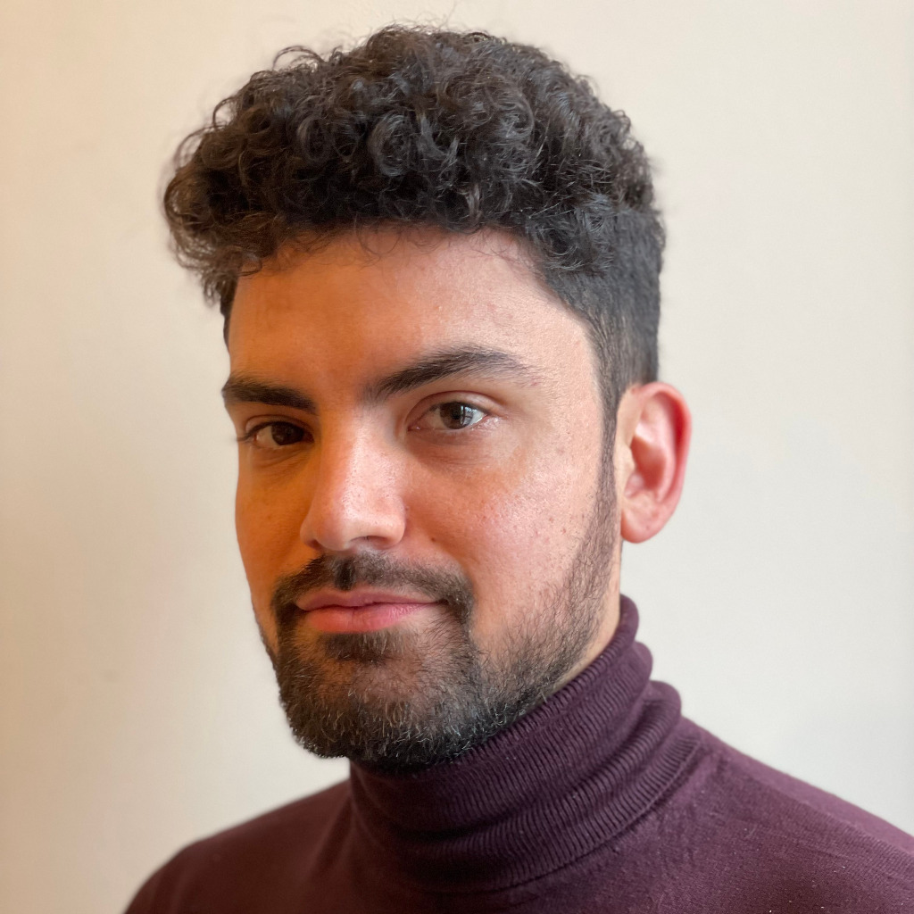 Samuele Laudani Postdoctoral Researcher University of Catania XING