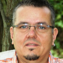 Werner R. Hosiner
