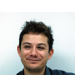 Manuel Silva Wissenschaftlicher Mitarbeiter Faculty of Engineering