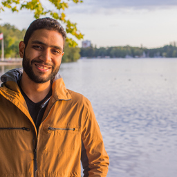 Ali Shafik