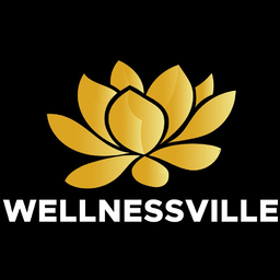 WELLNESSVILLE SPA