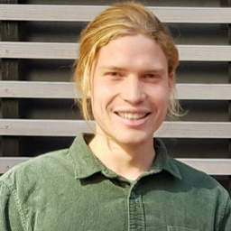 Henri Hayungs