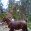 Carlos Parra