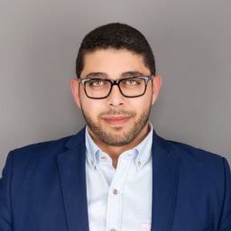 Mostafa Helmy - Senior Project Manager - BMB Solutions | XING