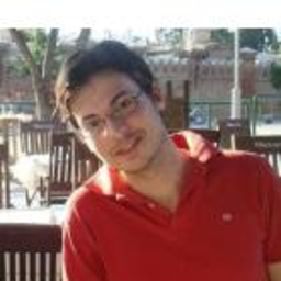 Alejandro Roman-Fuster