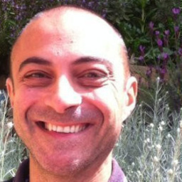 Daniele Paludi