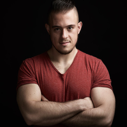 Kevin Indig's profile picture