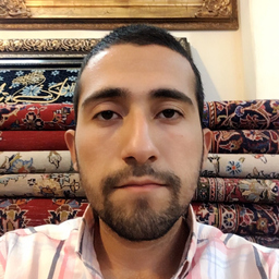 Seyed Muhammad hossein  Aeenehsaz