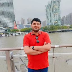 Mehdi Hassan
