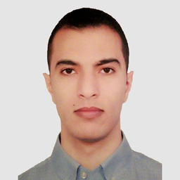 Sami Marouani
