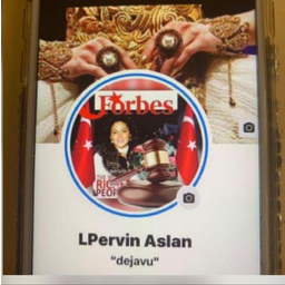 Pervin Aslan