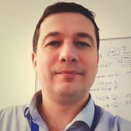 Mircea Radulescu