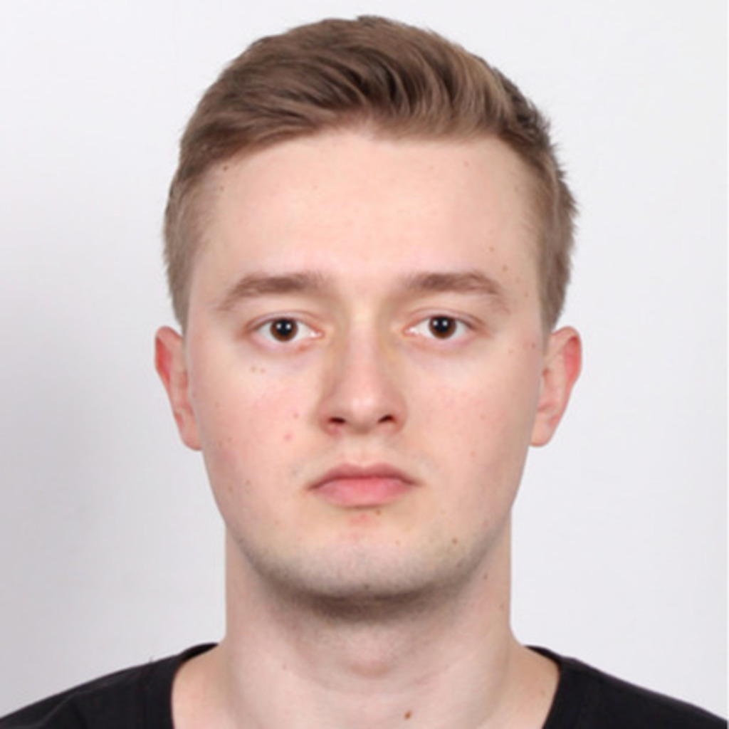 VLADYSLAV HAVRYLIAK - Frontend Developer - RAVIN.AI | XING