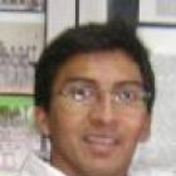 Nelson Villavicencio Romero