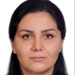 Dipl.-Ing. Sara Mokhtaridizaji