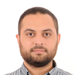 Ing. Mphamed Al-Emam