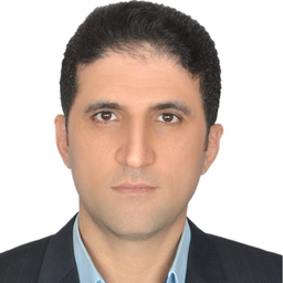 Amir Goudarzi