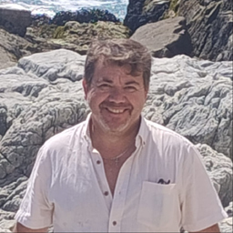 Alejandro Hernán Godoy Cid