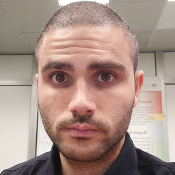 Lorenzo Papillo