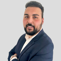 Alper Kedi
