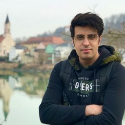 Mojtaba Zali