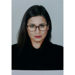 Ing. A.Ozgun CEVİK's profile picture
