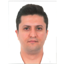 Mustafa Gungor