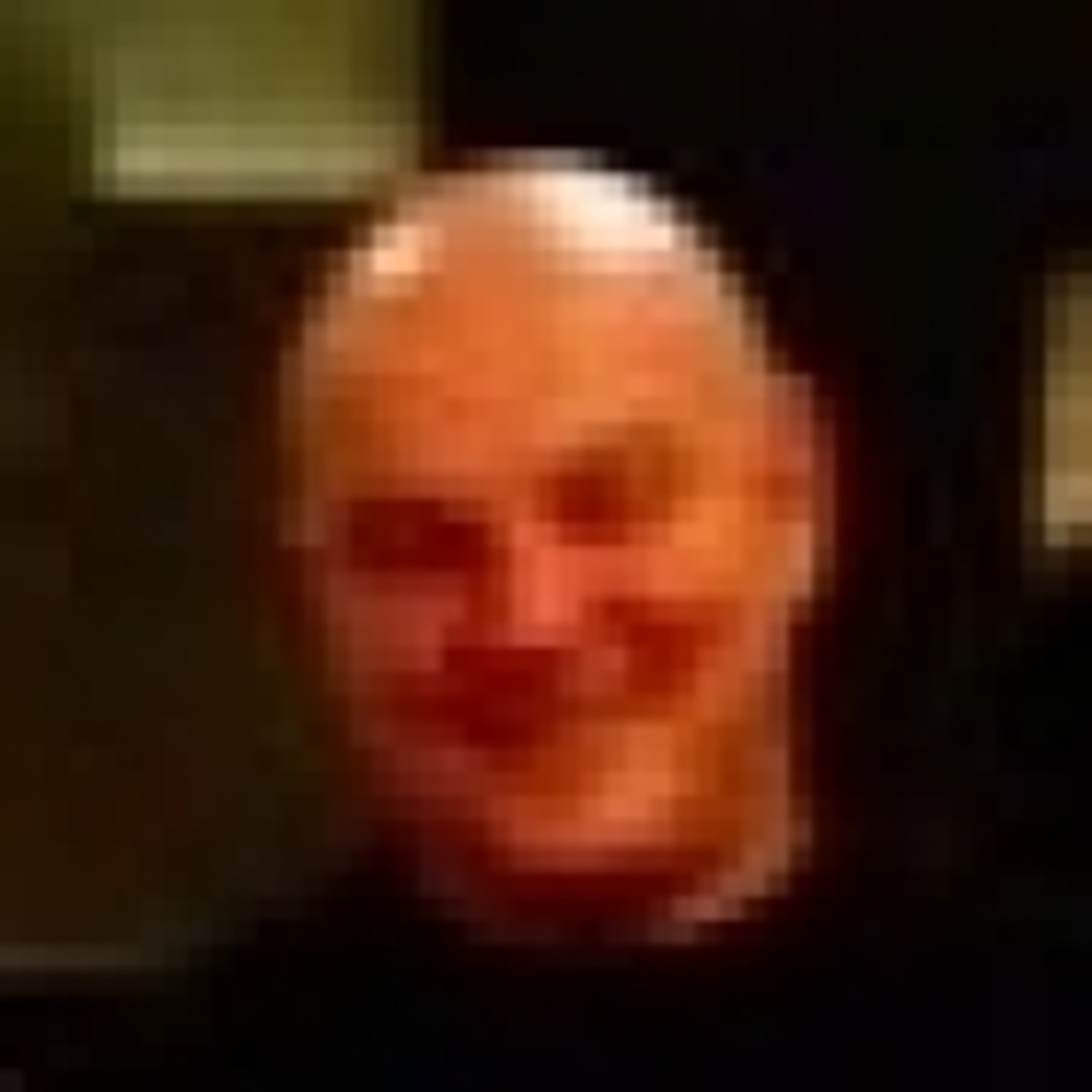 Roberto zanini Promoter XING