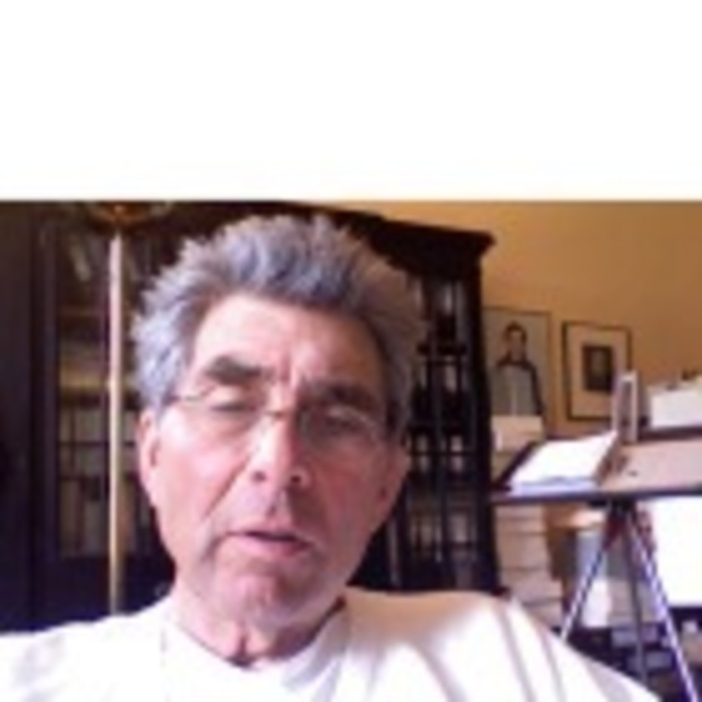 Rene Levett president levett medical software XING