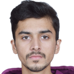 Muhammad Usman Anwar