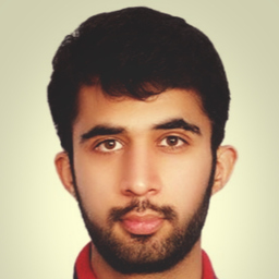 Ameer Hamza