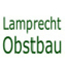 Amina Lamprecht