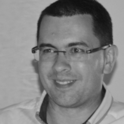 Dipl.-Ing. Alexandre SCHAUB