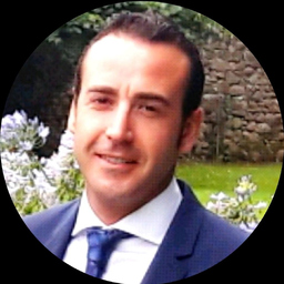 Ing. David Ibáñez Cervera