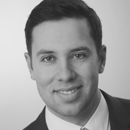 Timo M. Schmidt