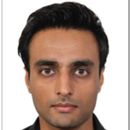 Ing. Ravi Ramani