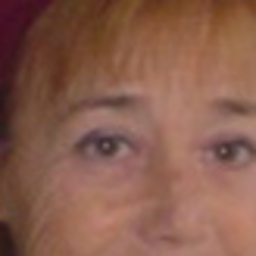 Carmen Hidalgo Abujas