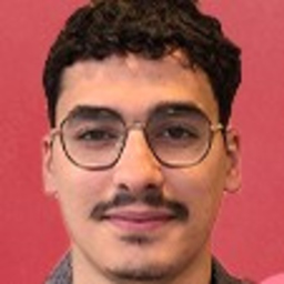 Chafi Khermouche's profile picture