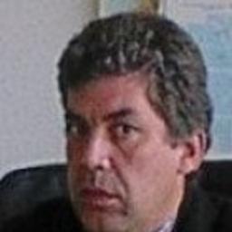 Paulo Torres