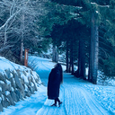Elif Oguz