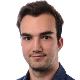 Ing. Johannes Graser