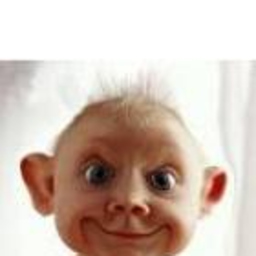TUT Urech