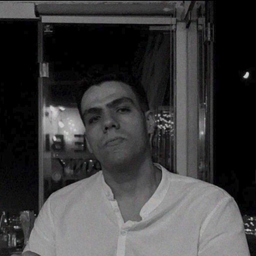 Hesham Saleh
