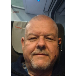 Miklos Vasko-Szedlar