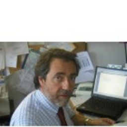 Marzio Cimmino