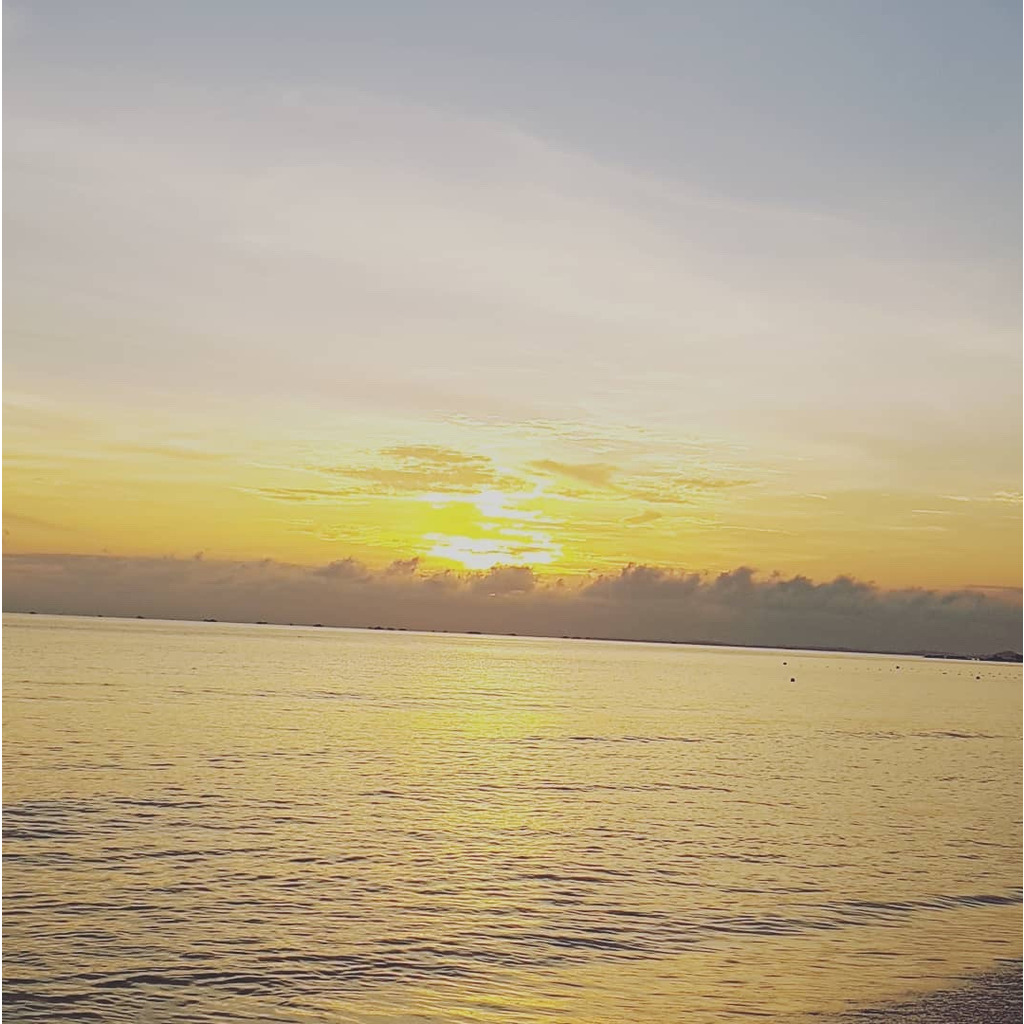 kyle wilson Car dealer Used Car Dealership XING